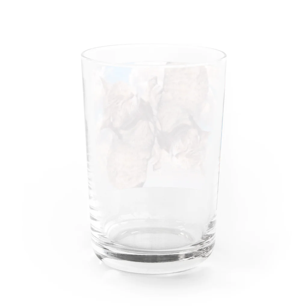 ゆんぴ｜Webクリエイターのヘヴンリーチャンドゥ Water Glass :back