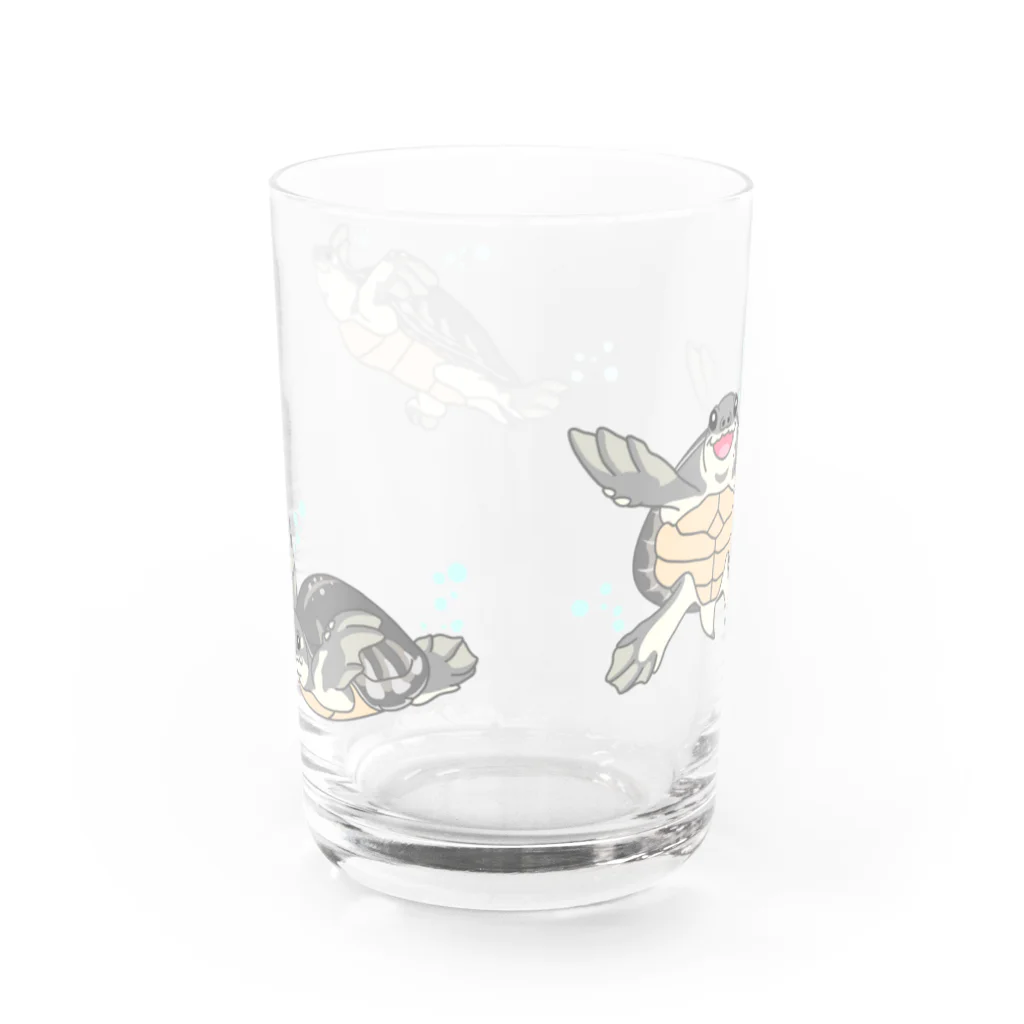 ありまる商店の泳ぐスッポンモドキ Water Glass :back