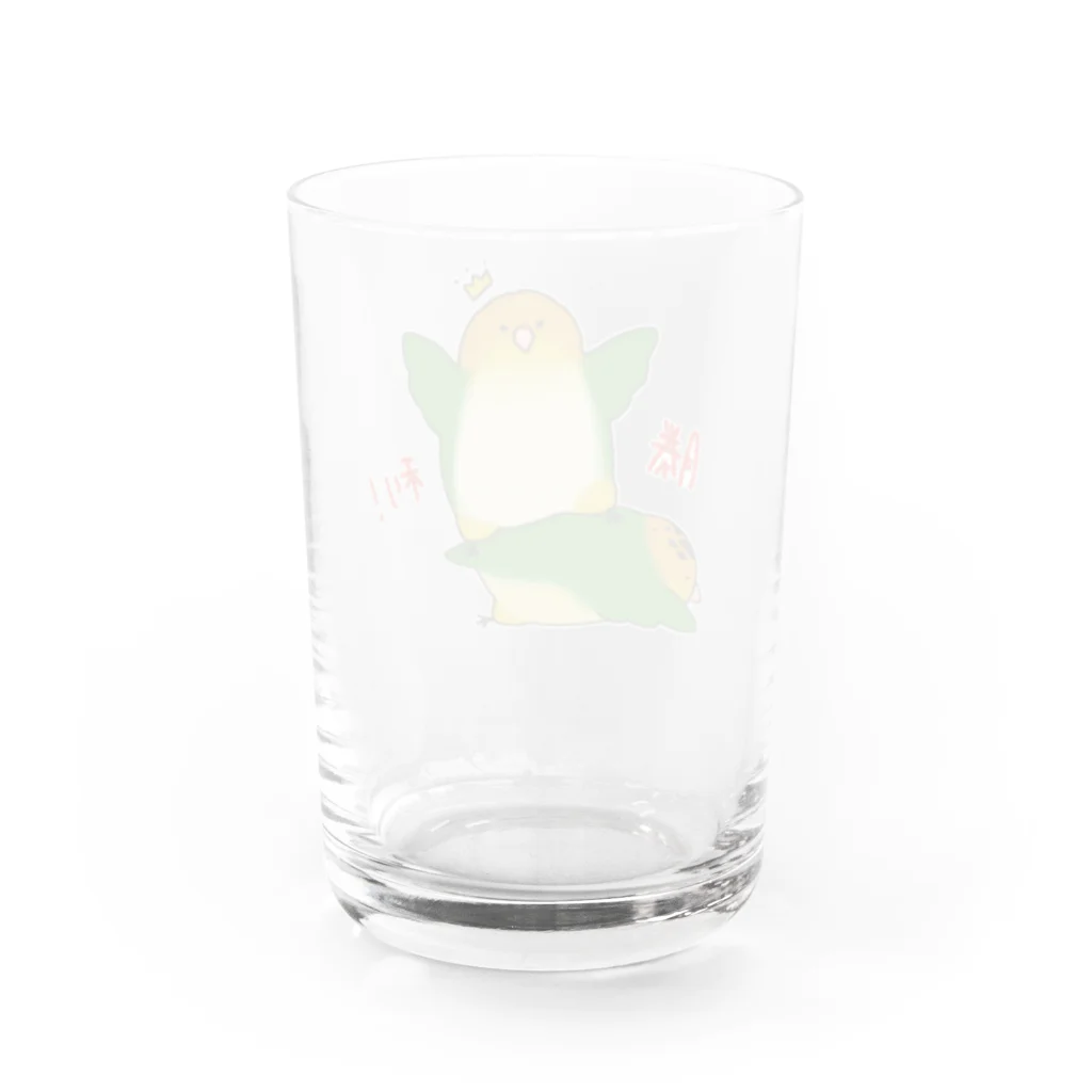 しょんぼりざうるすのシロハラぷろれす(文字入り) Water Glass :back