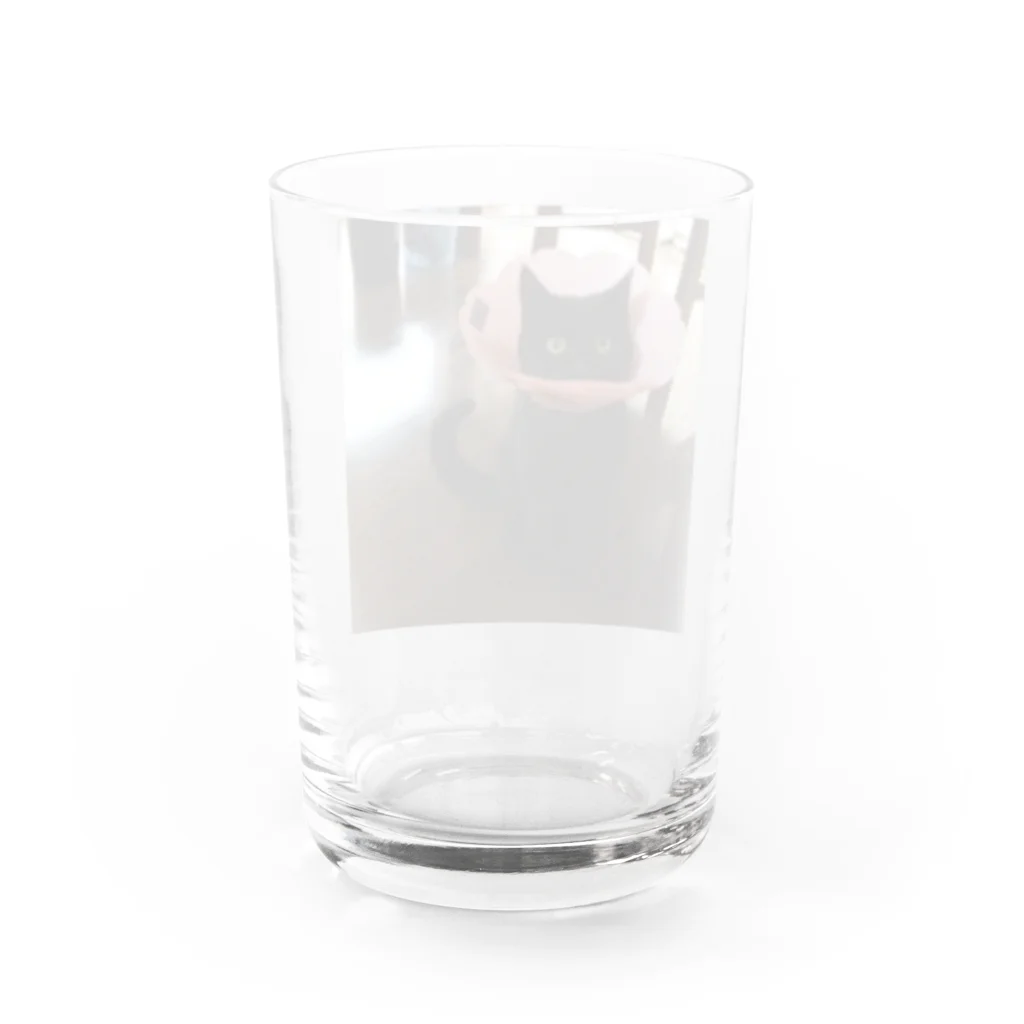 ぬこのぬこのなっちゃん Water Glass :back