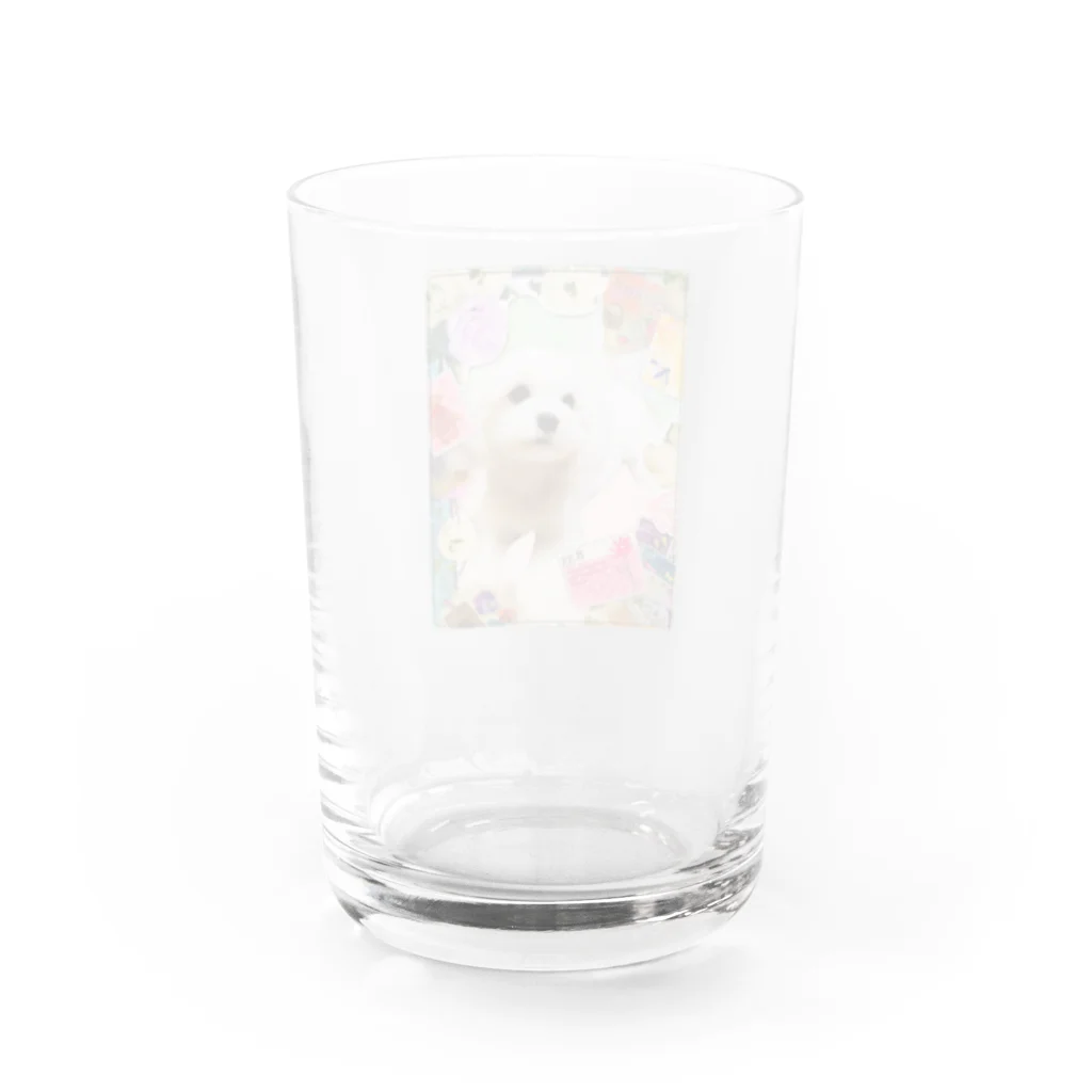 白い妖精のうちの子マルチーズコラージュ Water Glass :back