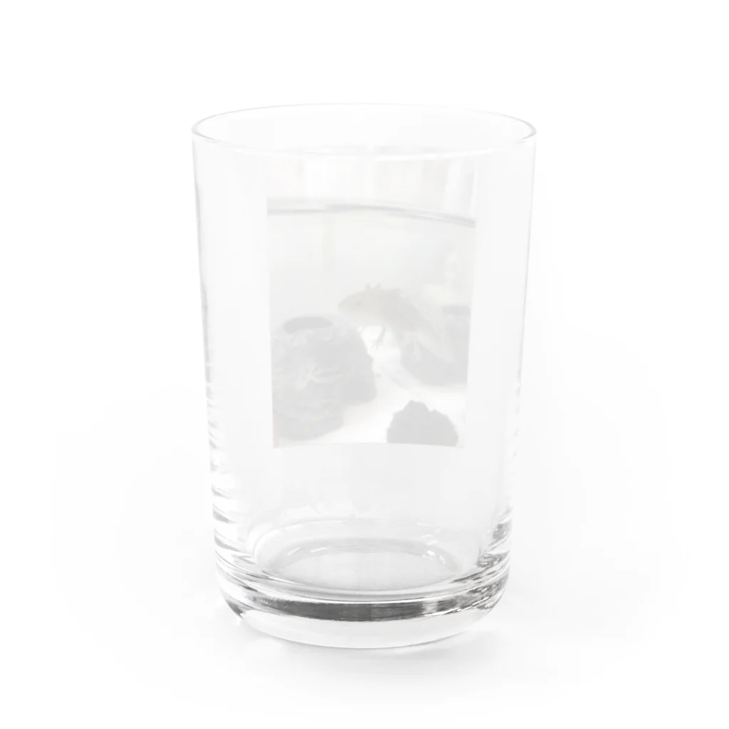 4ママブイやんのウーパールーパーのクロスケ Water Glass :back