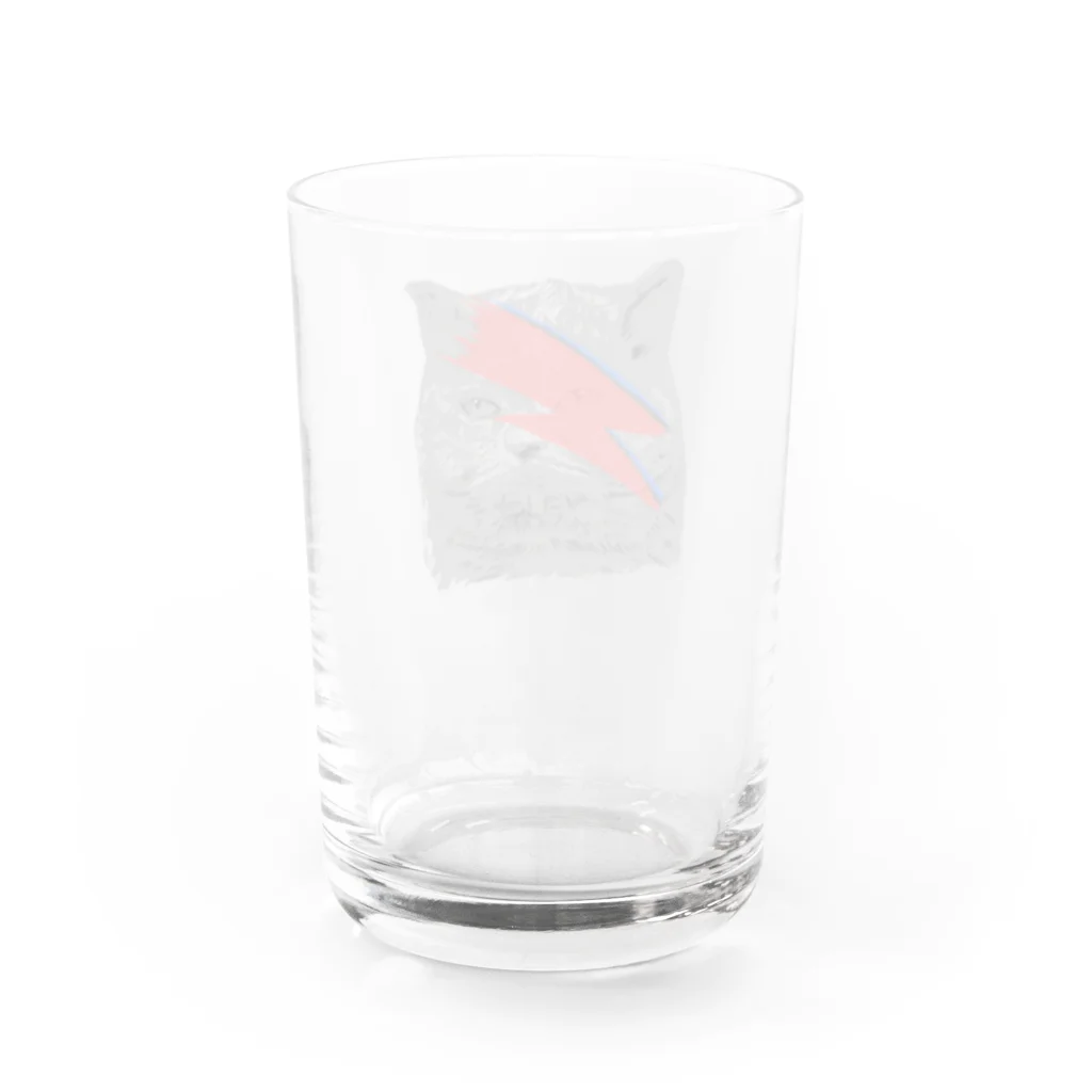 小鳥と映画館のDボウイのメイクのネコ Water Glass :back