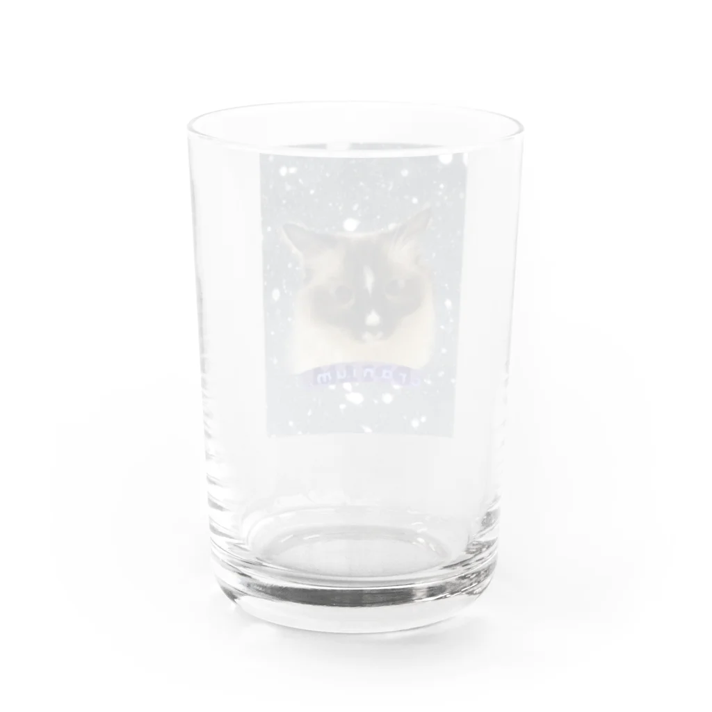 ꏸꋪꋫꁹꂑꐇꁒ𖤐《毎日ハロウィンのクラニアム》のねこの雫 Water Glass :back