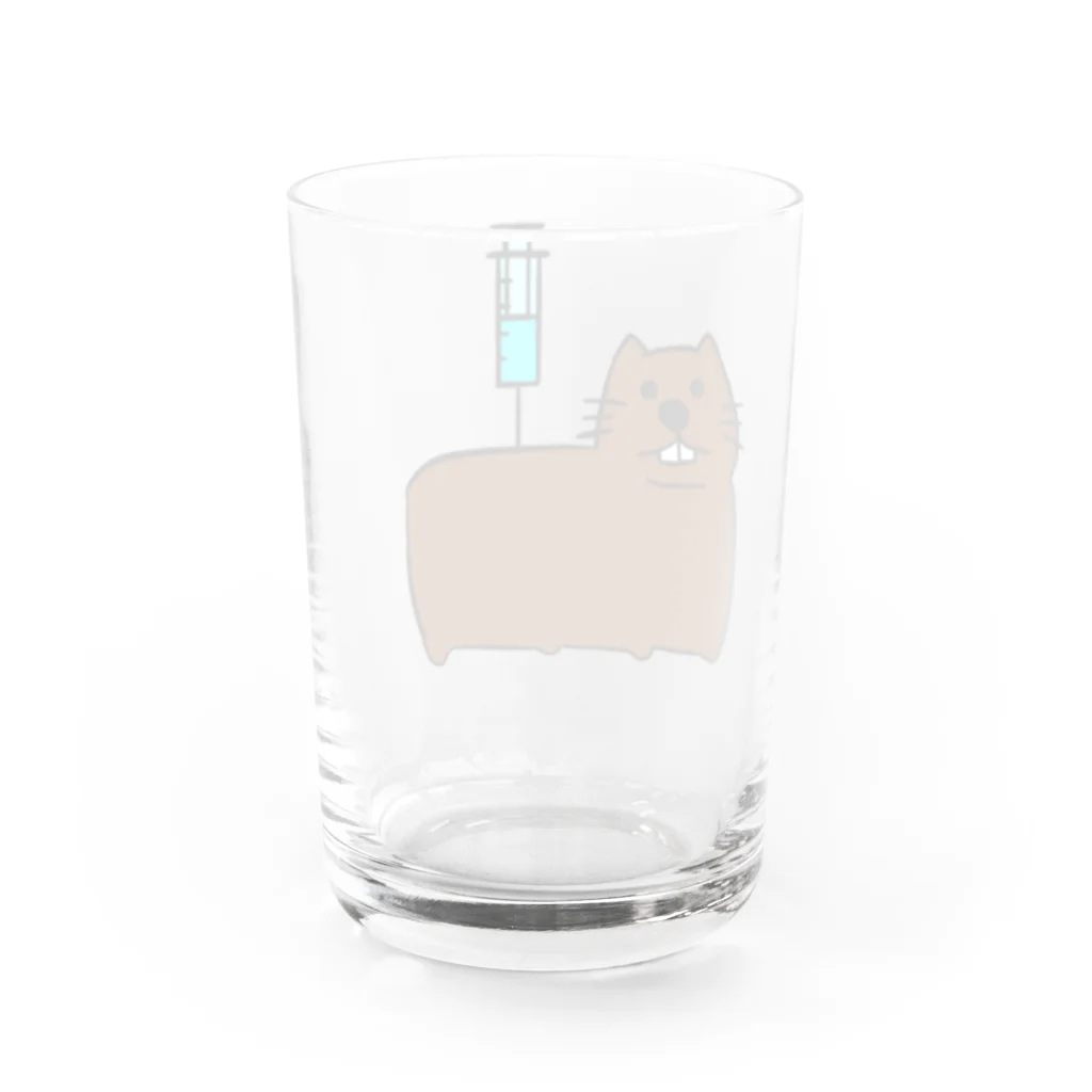 なまこ屋さんのお注射ウォンバット Water Glass :back