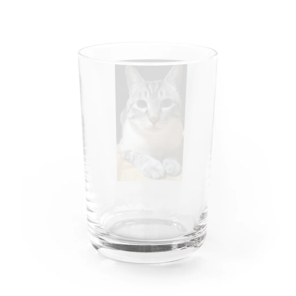 chacomameのましゅまろくん Water Glass :back