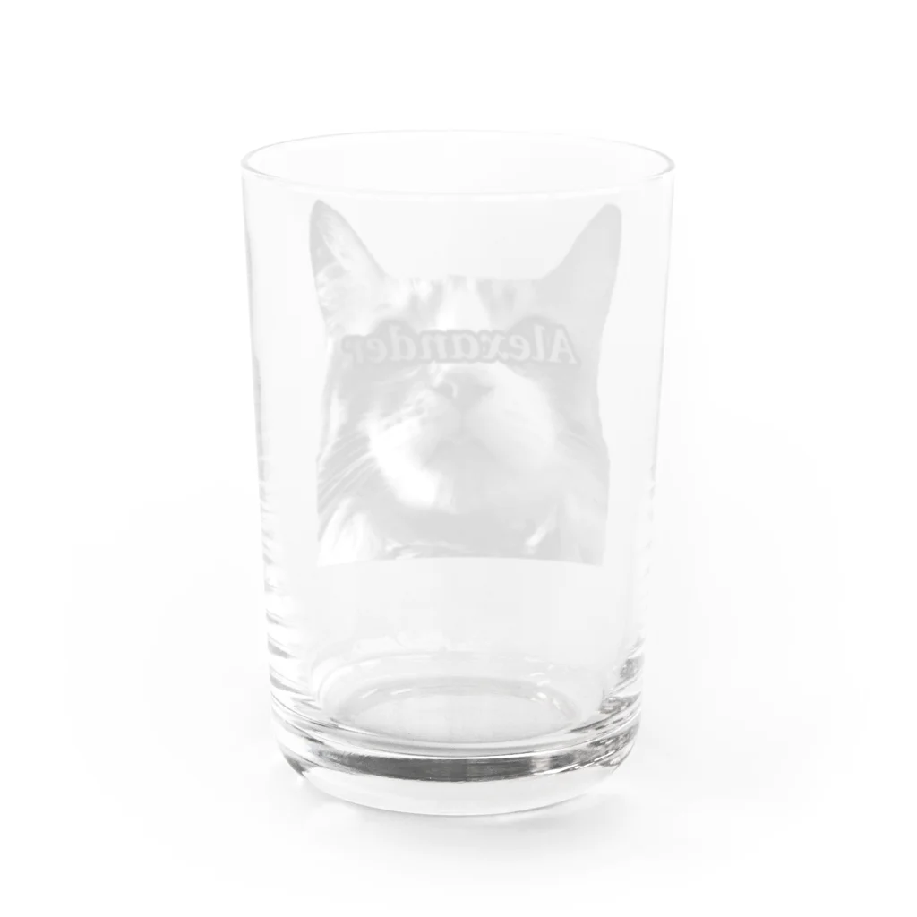 てんはるの目線アレクサンダー Water Glass :back