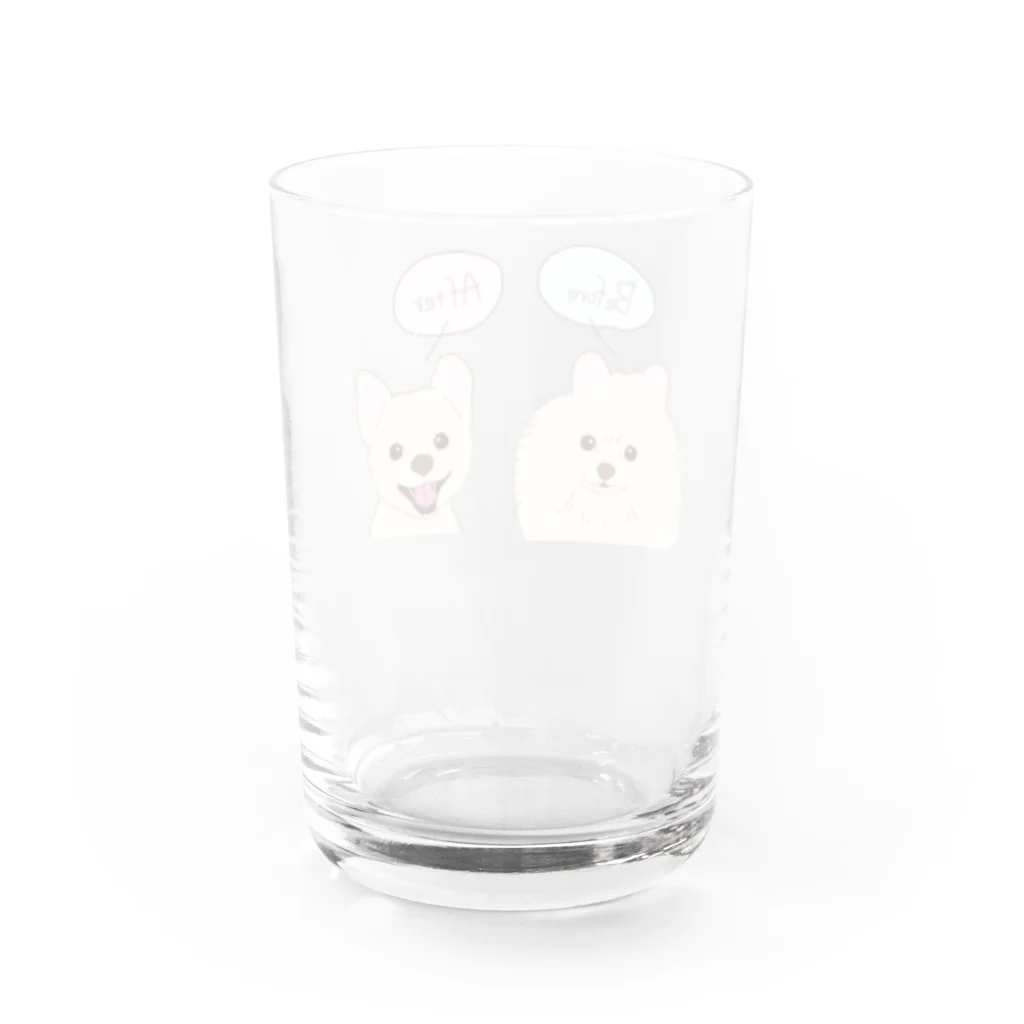 だいな&えでぃのポメラニアンのBefore After Water Glass :back