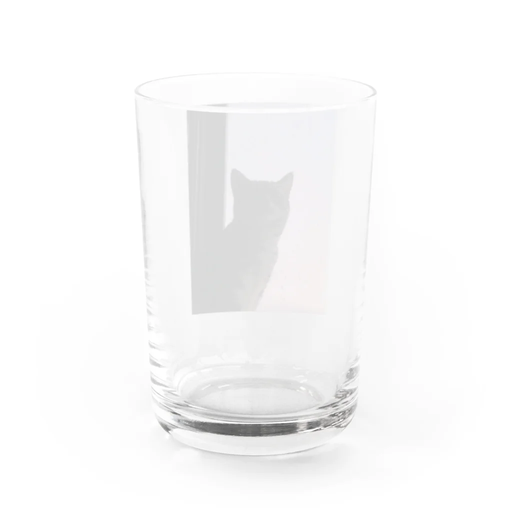 たけのこのお店の黄昏ねこ Water Glass :back