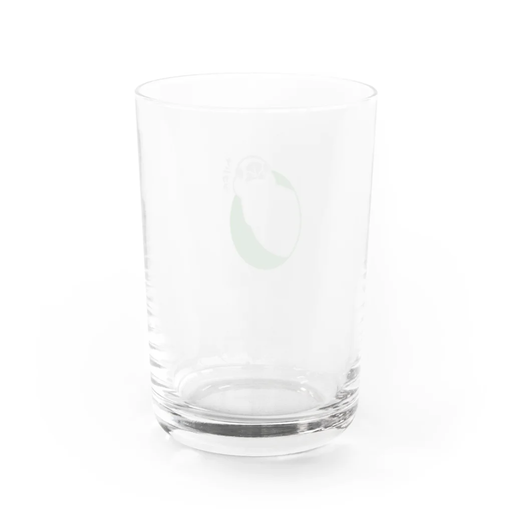 キャルルCITYののぞき文鳥 Water Glass :back