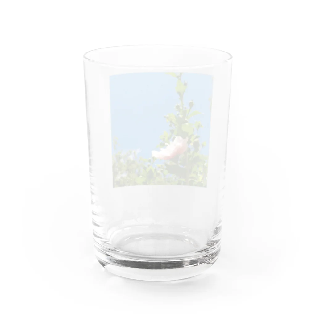 風車堂の6'-Family Ensemble Water Glass :back