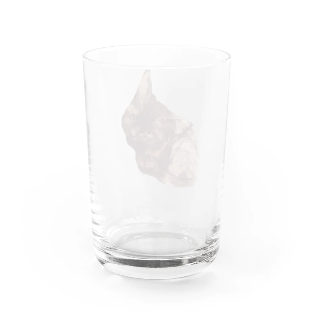 evaのねこ Water Glass :back