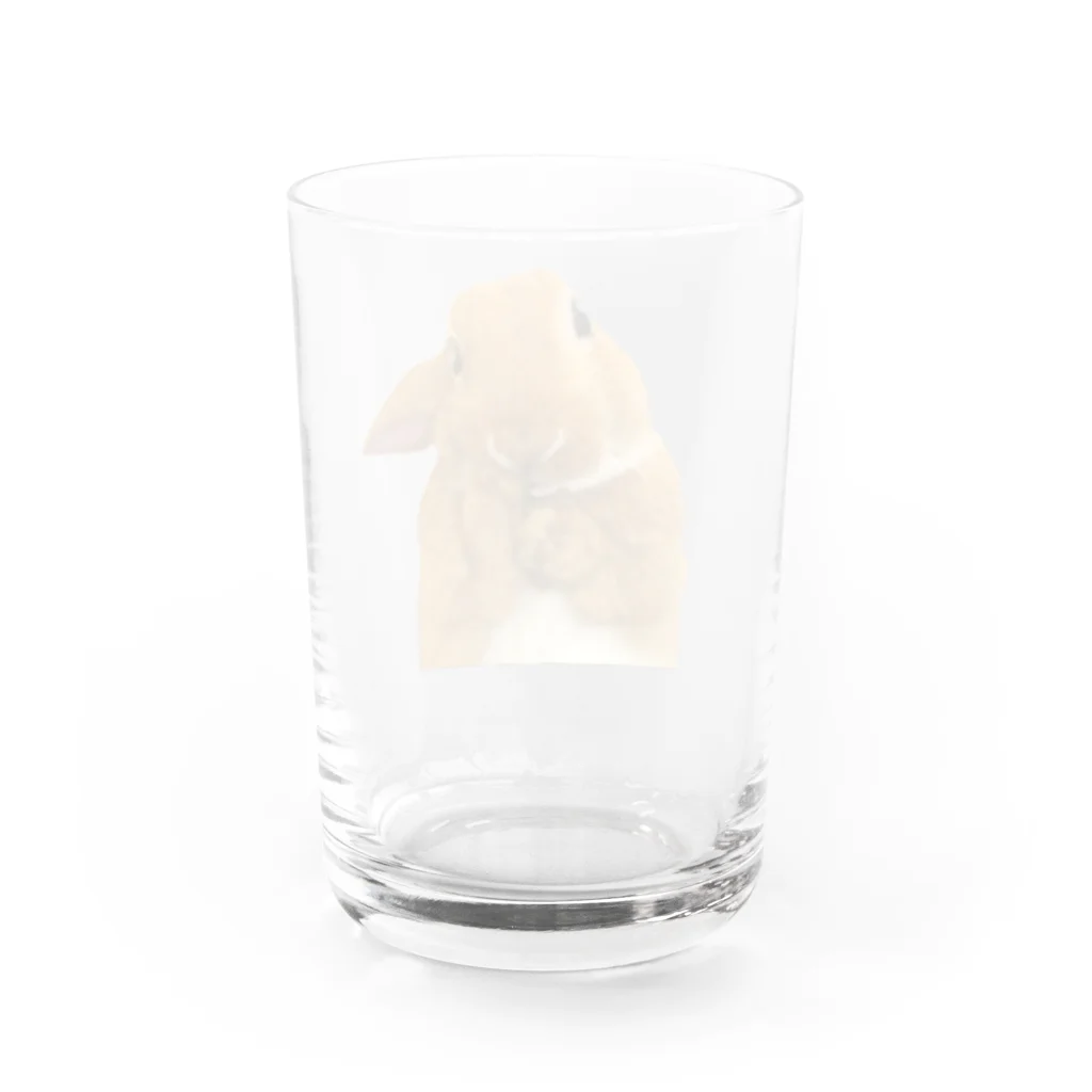 いきもの大好き！ほほえみフレンズのウサギのないしょ話 Water Glass :back