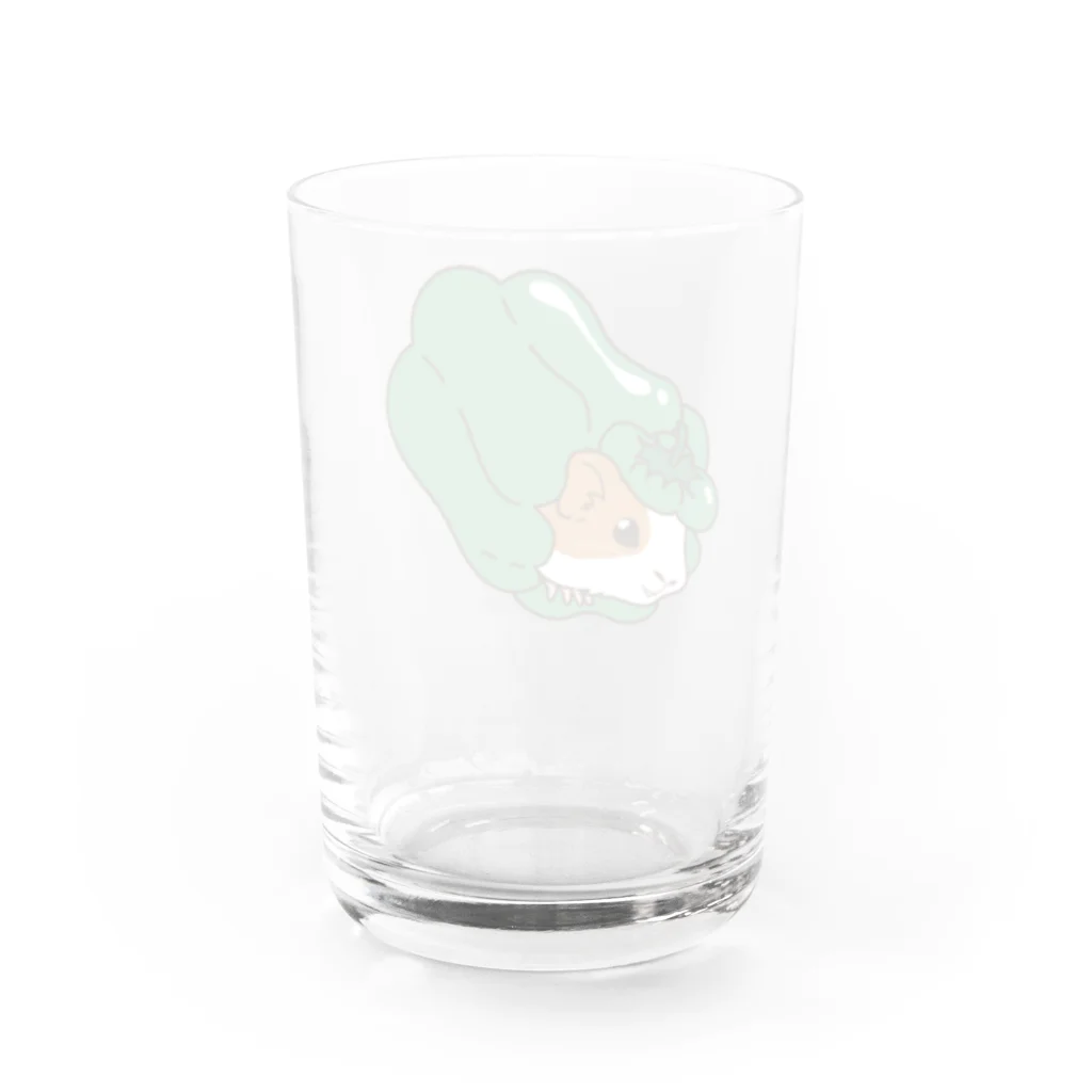 Lichtmuhleのピーマンモルモット Water Glass :back