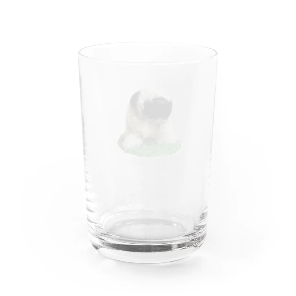 パグのARパグ Water Glass :back