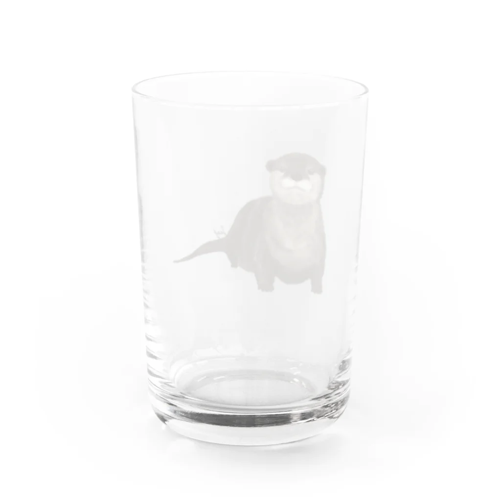 ひはせのふわふわコツメカワウソ Water Glass :back