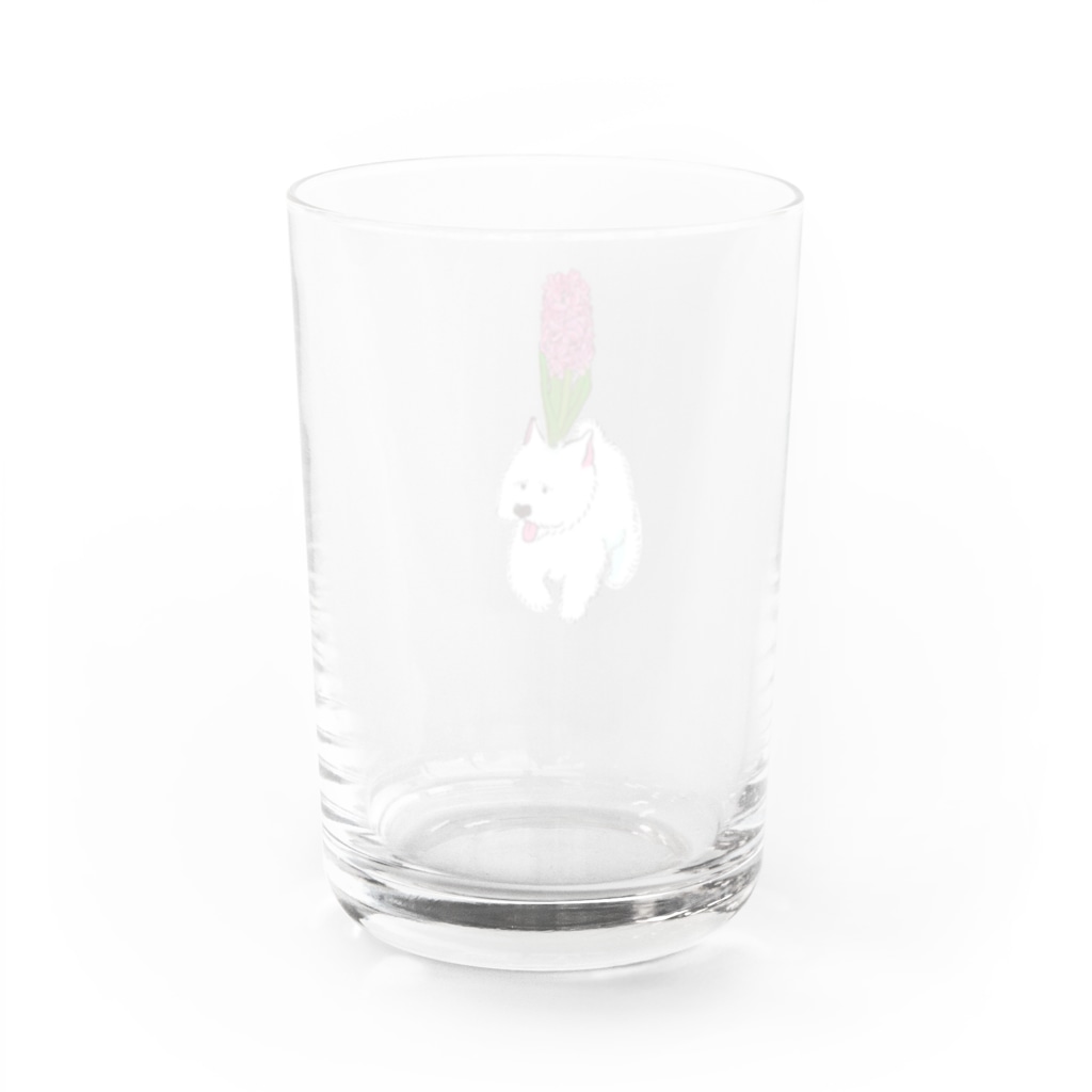 ときめきの源のウェスティーにヒヤシンス Water Glass :back