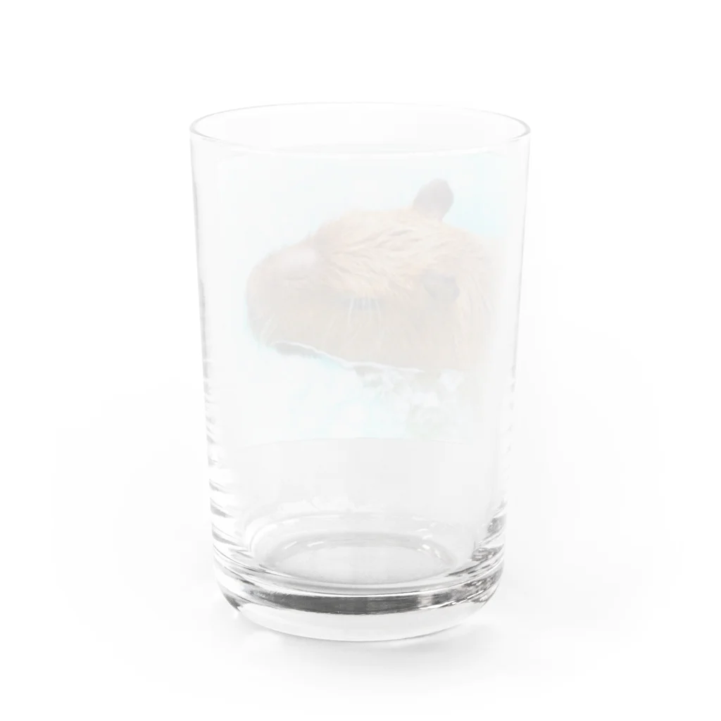 アラコ。の物憂げなカピバラ Water Glass :back