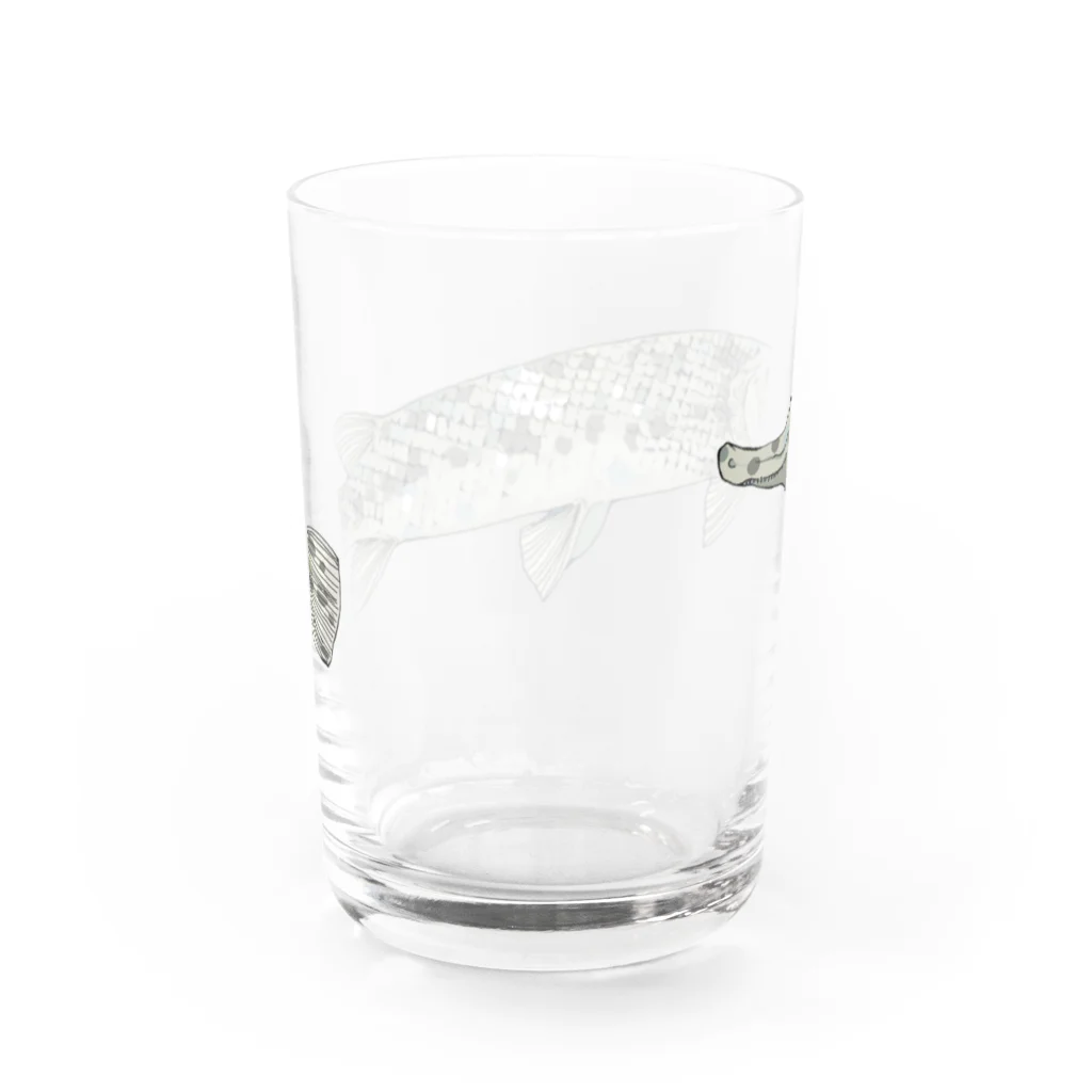 恒福水路のガーパイク（スポテッドガー）グラス Water Glass :back