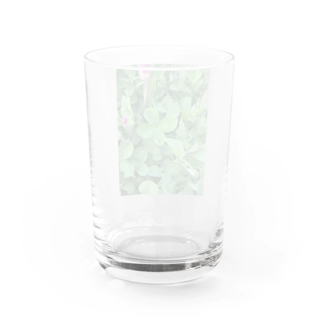 プリュネルビジューの幸せを引き寄せる四つ葉のクローバー🍀 Water Glass :back
