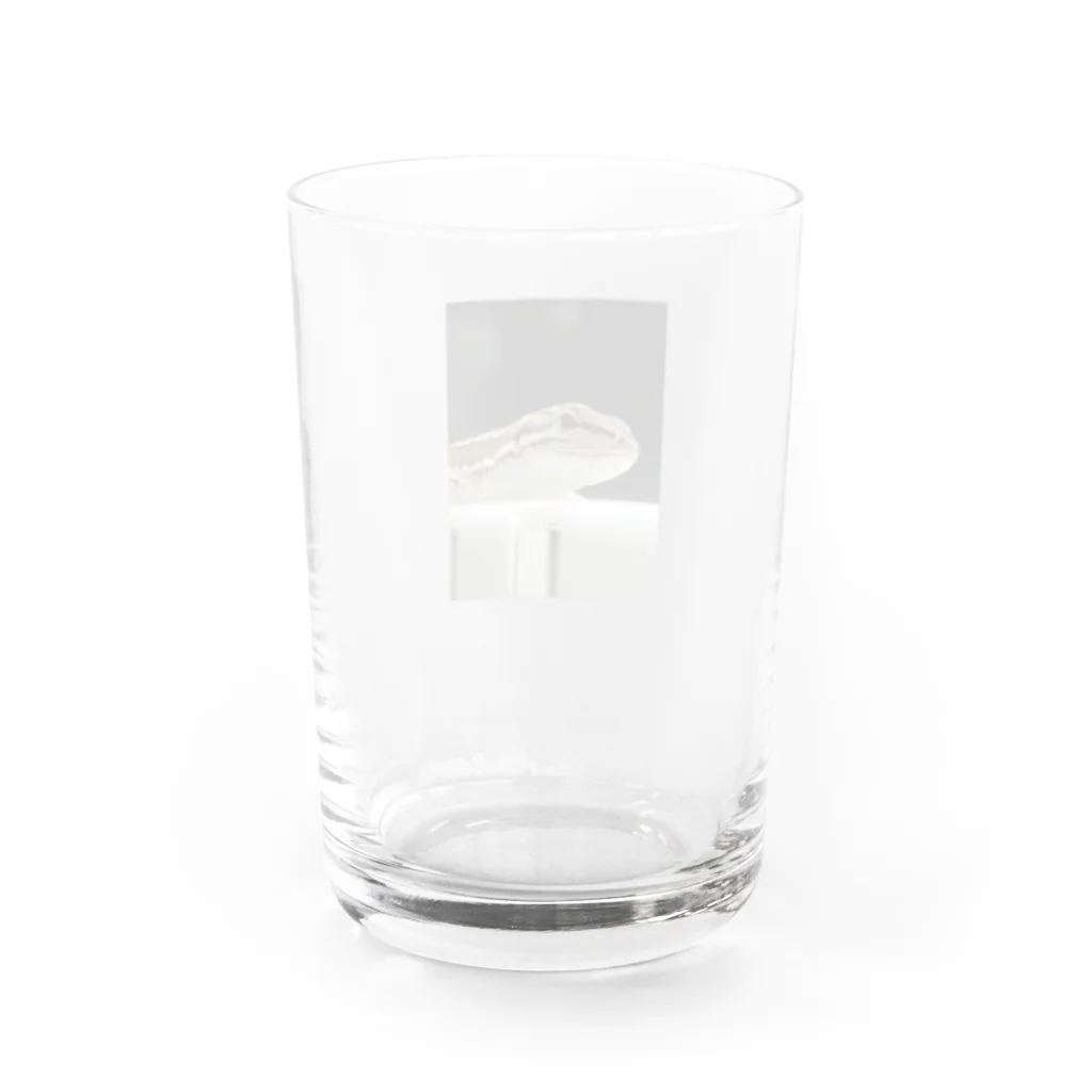 minaho_のうちの子 Water Glass :back