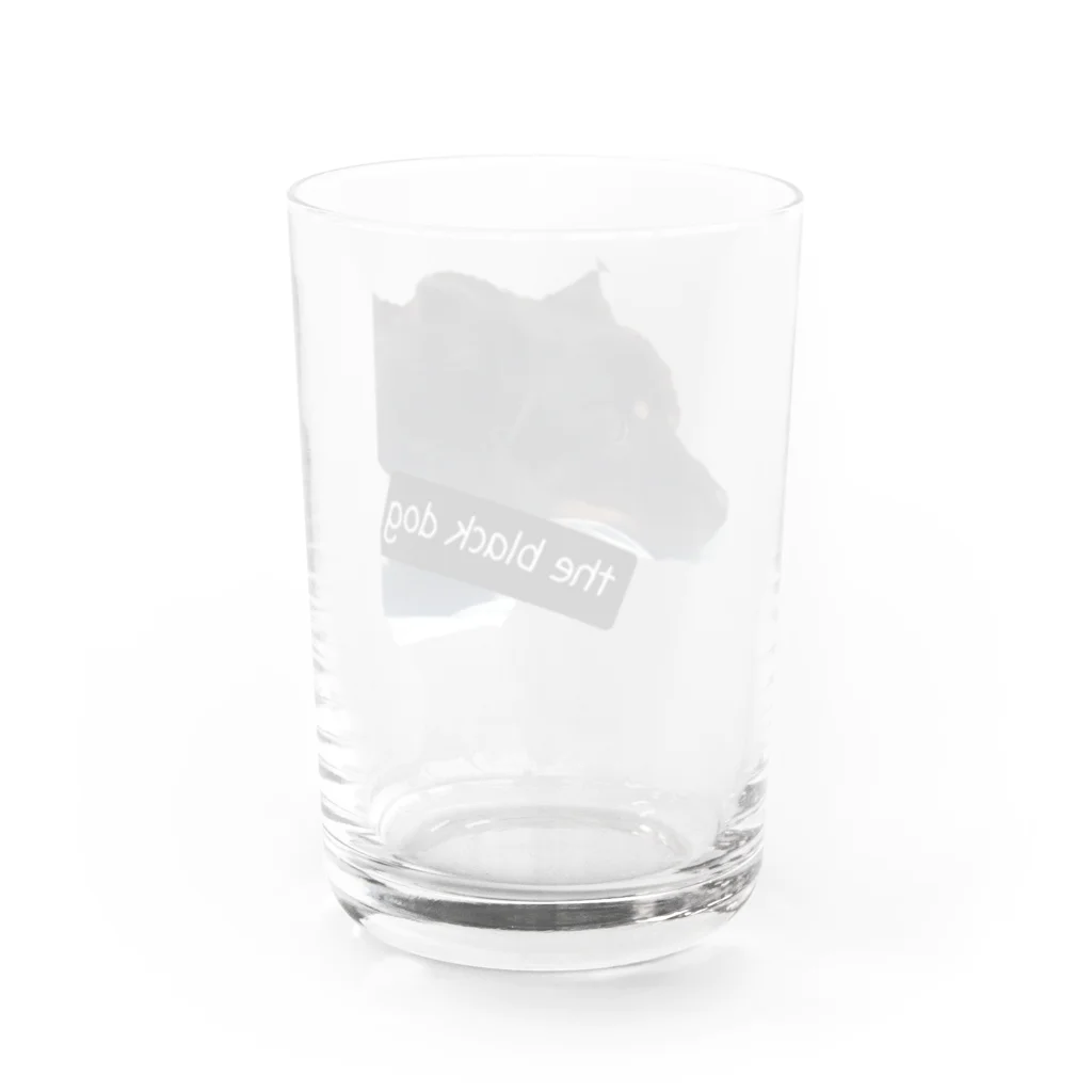 SASARiNS のThe black dog Water Glass :back