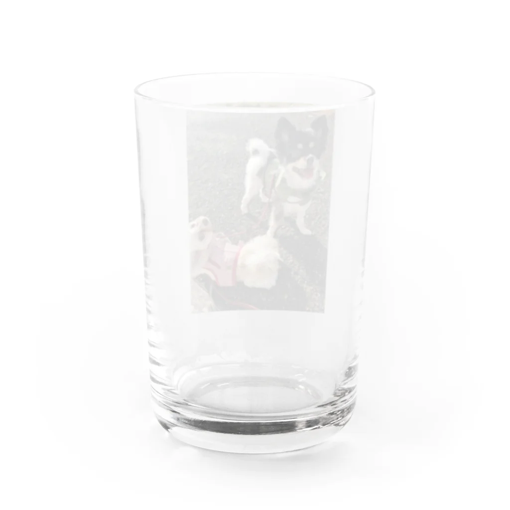 kedoのちぃそら Water Glass :back