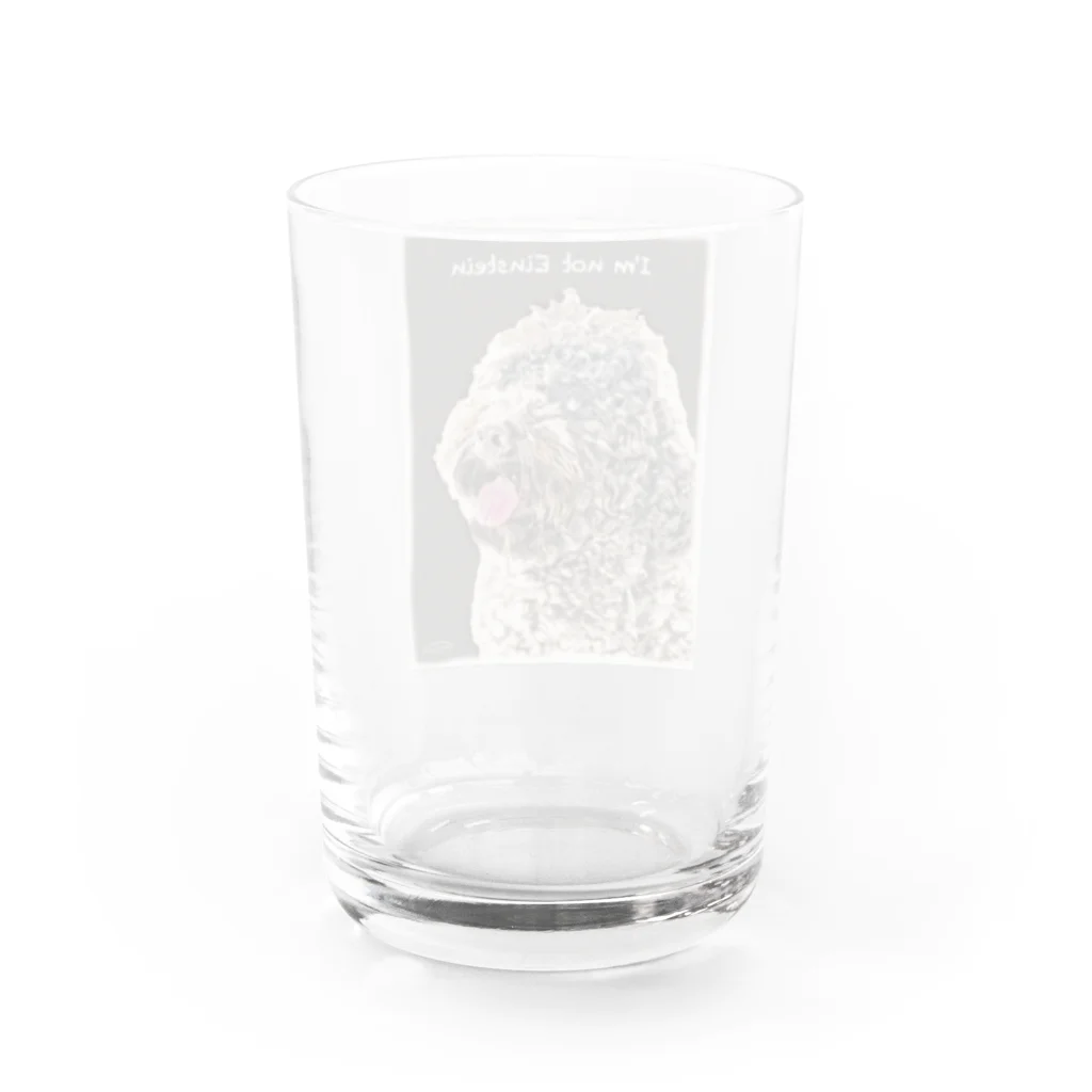 ミリオンダラー・ドッグ（million dollar dog）のミリオンTYPE-B（I'm not Einstein） Water Glass :back