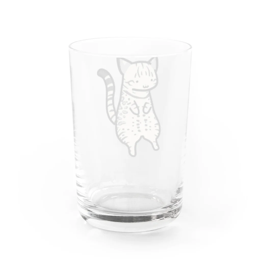 まめゆきの灰ベンガル猫 Water Glass :back