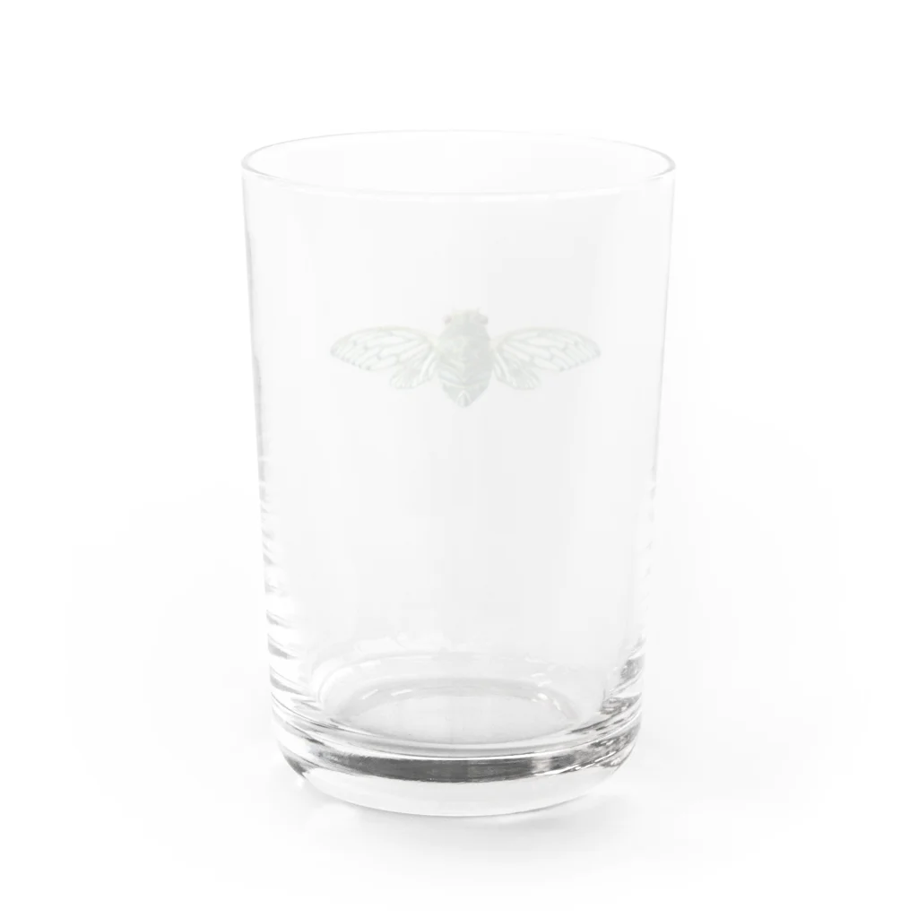 ルルンパ・エンターテイメントのミンミンゼミ・テイクオフ Water Glass :back