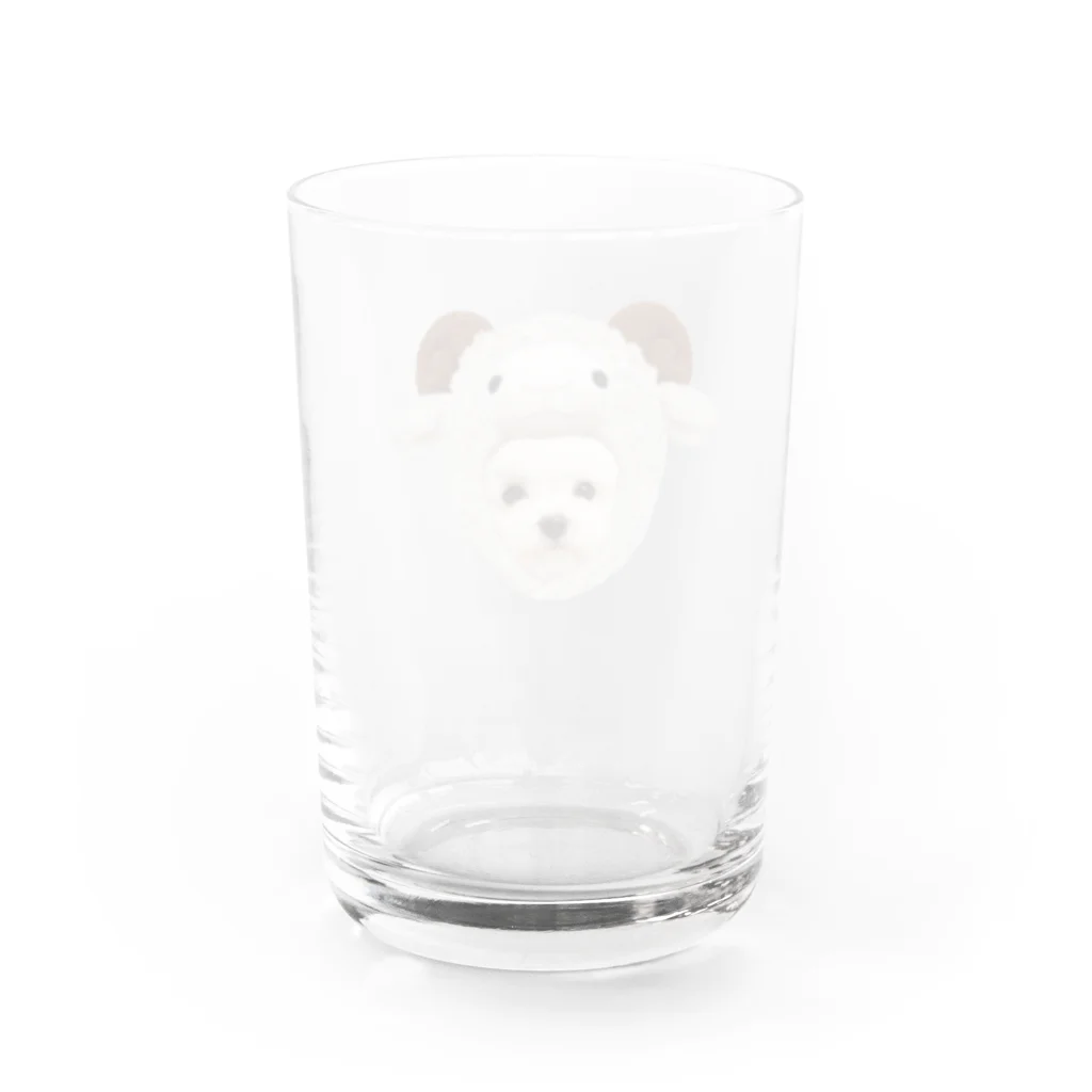 小さな世界のひつじに憧れるビションフリーゼ Water Glass :back