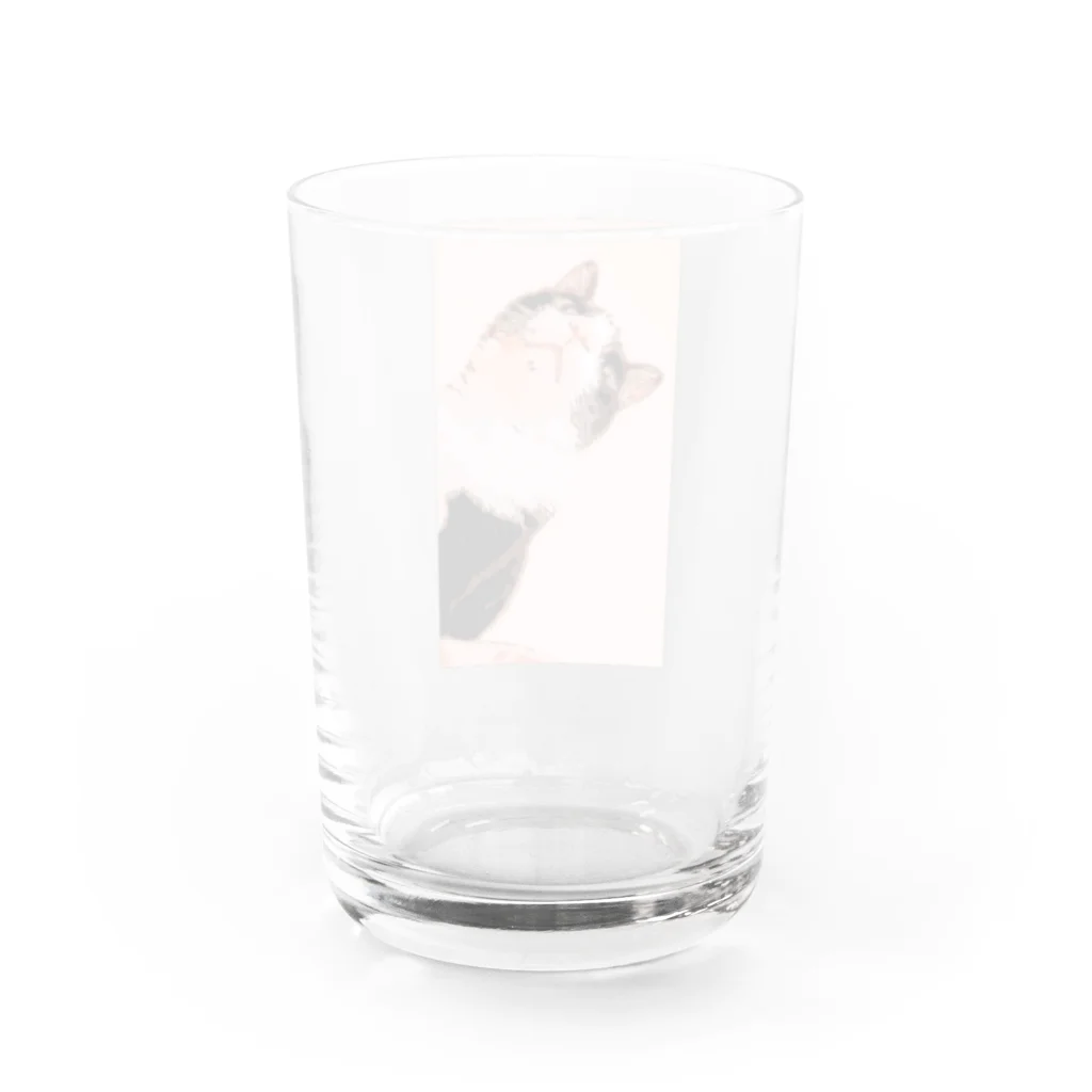 meowのハチワレ Water Glass :back