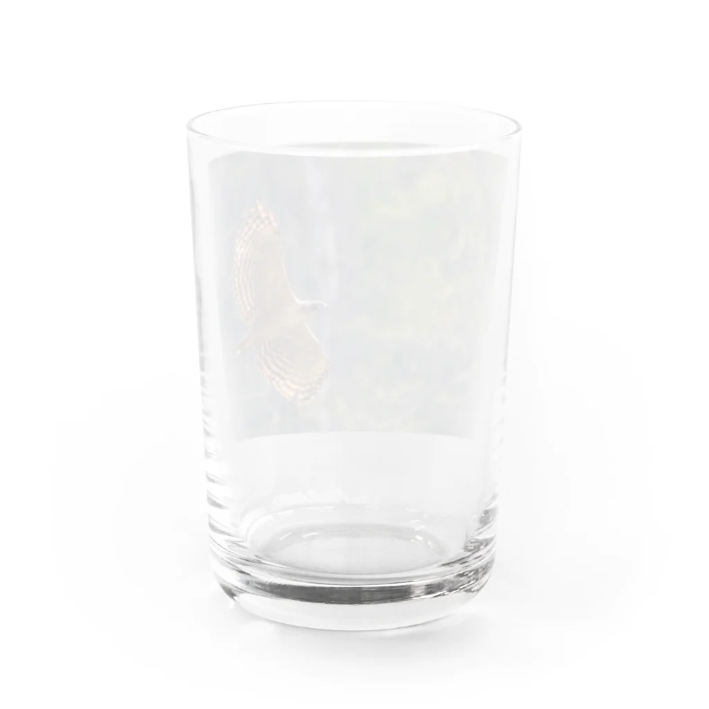 MIM△made in mountainのクマタカ Water Glass :back