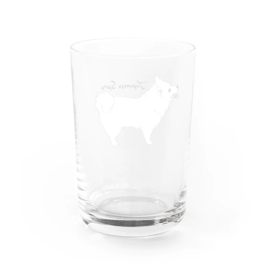 日本スピッツ　蛍の日本スピッツわくわく Water Glass :back