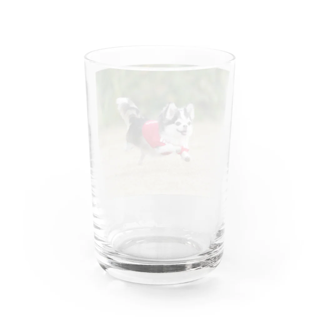 MILKY's SHOPのミルキー犬生の旅 Water Glass :back