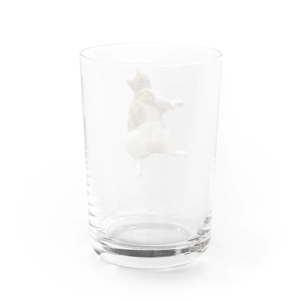 yui .のmenmaｺｯﾌﾟ! Water Glass :back