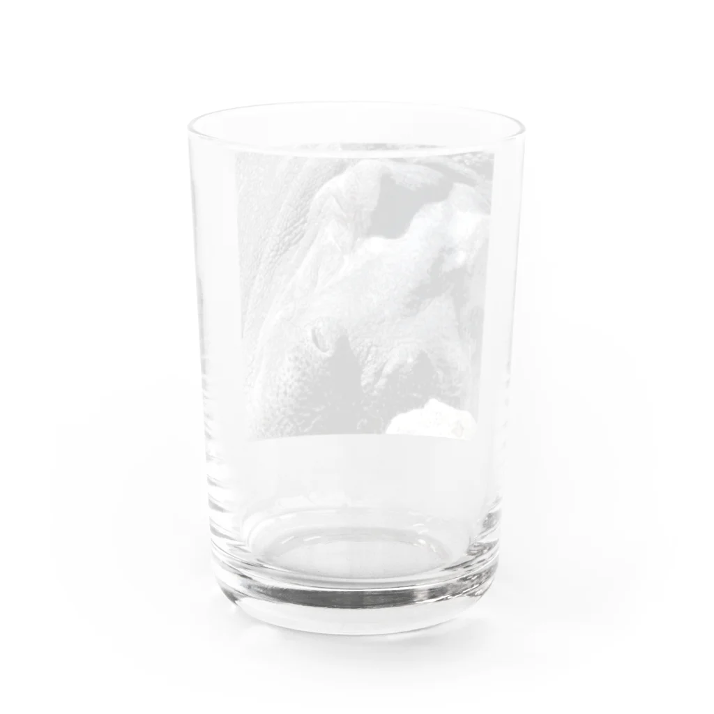 爆弾ツナマヨの動物園のカバ Water Glass :back