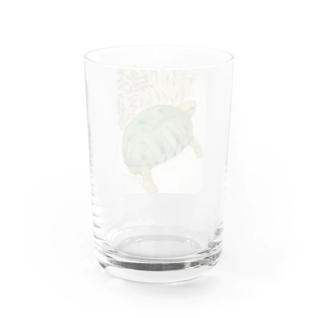 ねんこね。未来子のアカミミちゃん Water Glass :back