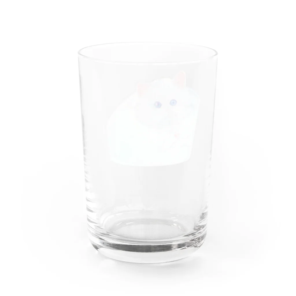 またまたのとけた猫 Water Glass :back