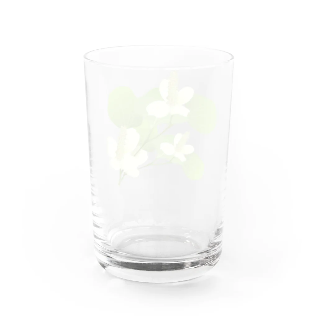 hiromu.のドクダミの花 Water Glass :back