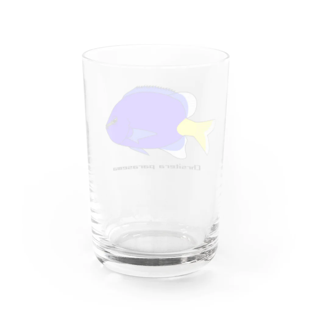 mihuneのシリキルリスズメダイ Water Glass :back