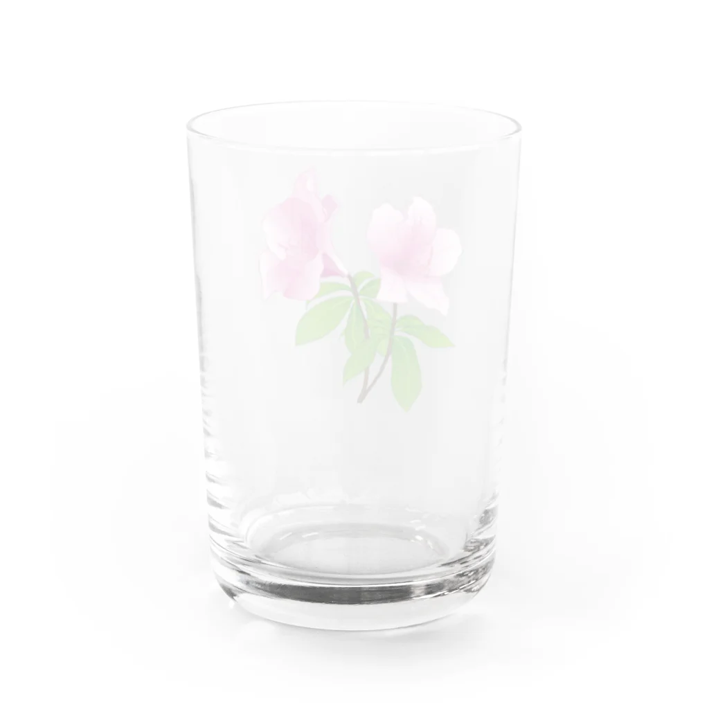 yamame1000ninのつつじ Water Glass :back