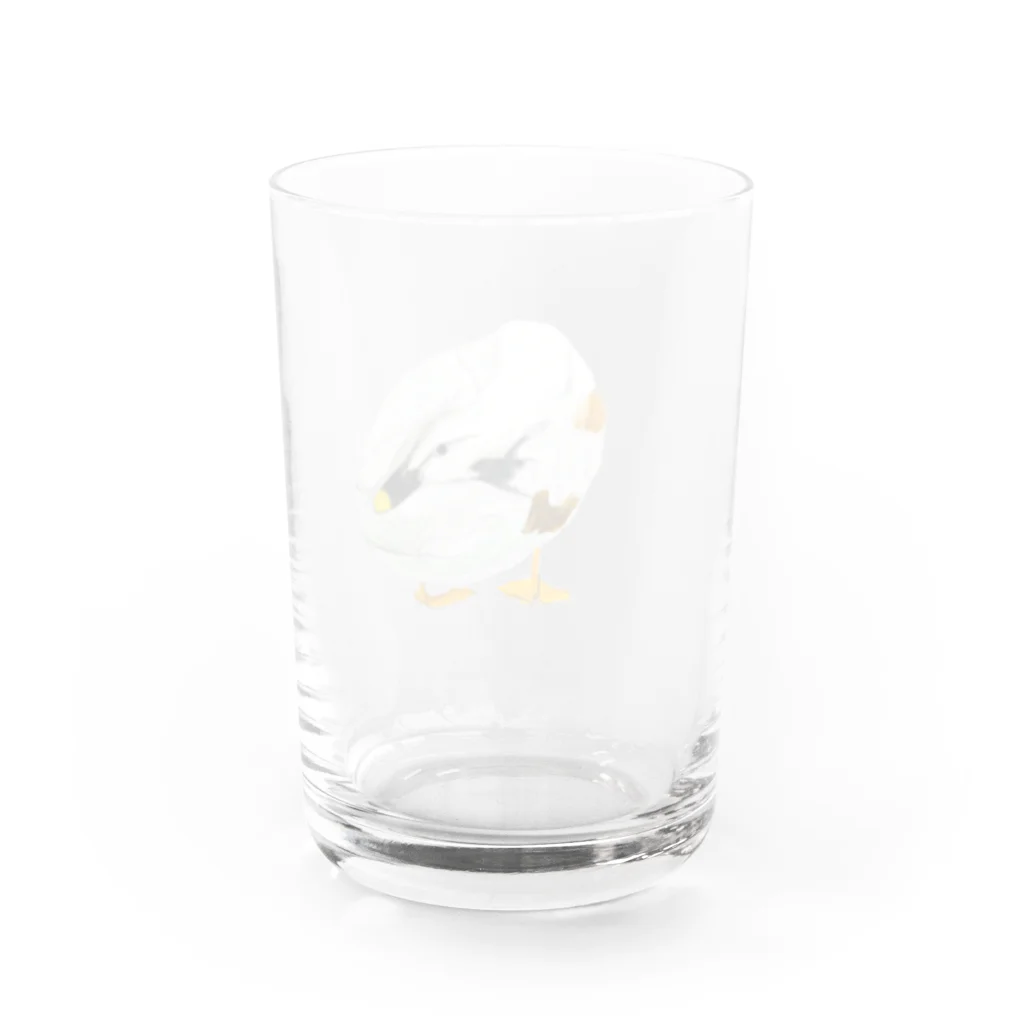 ゆずずショップのカモ Water Glass :back