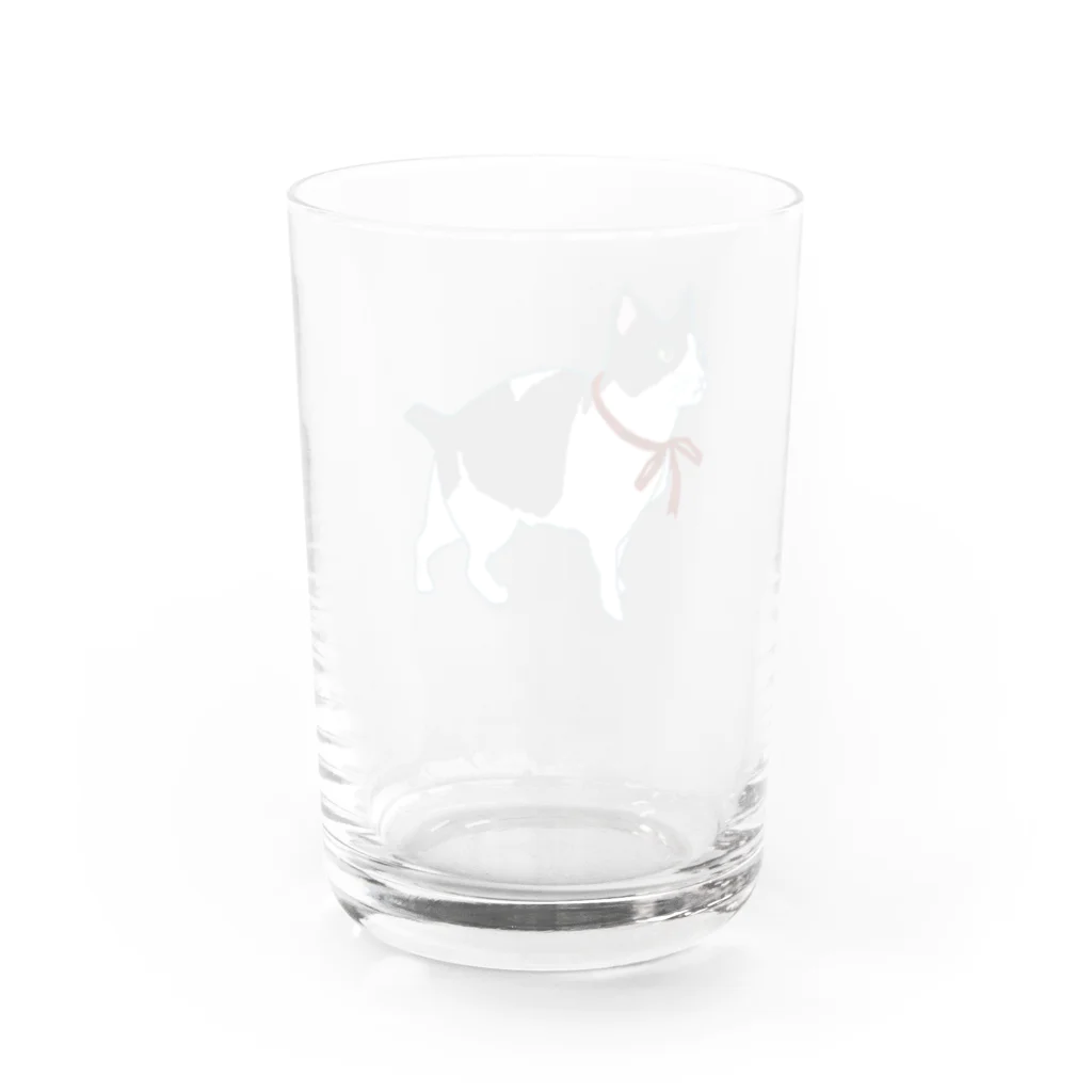 猫猫商店の白黒猫まっくす(リボン) Water Glass :back