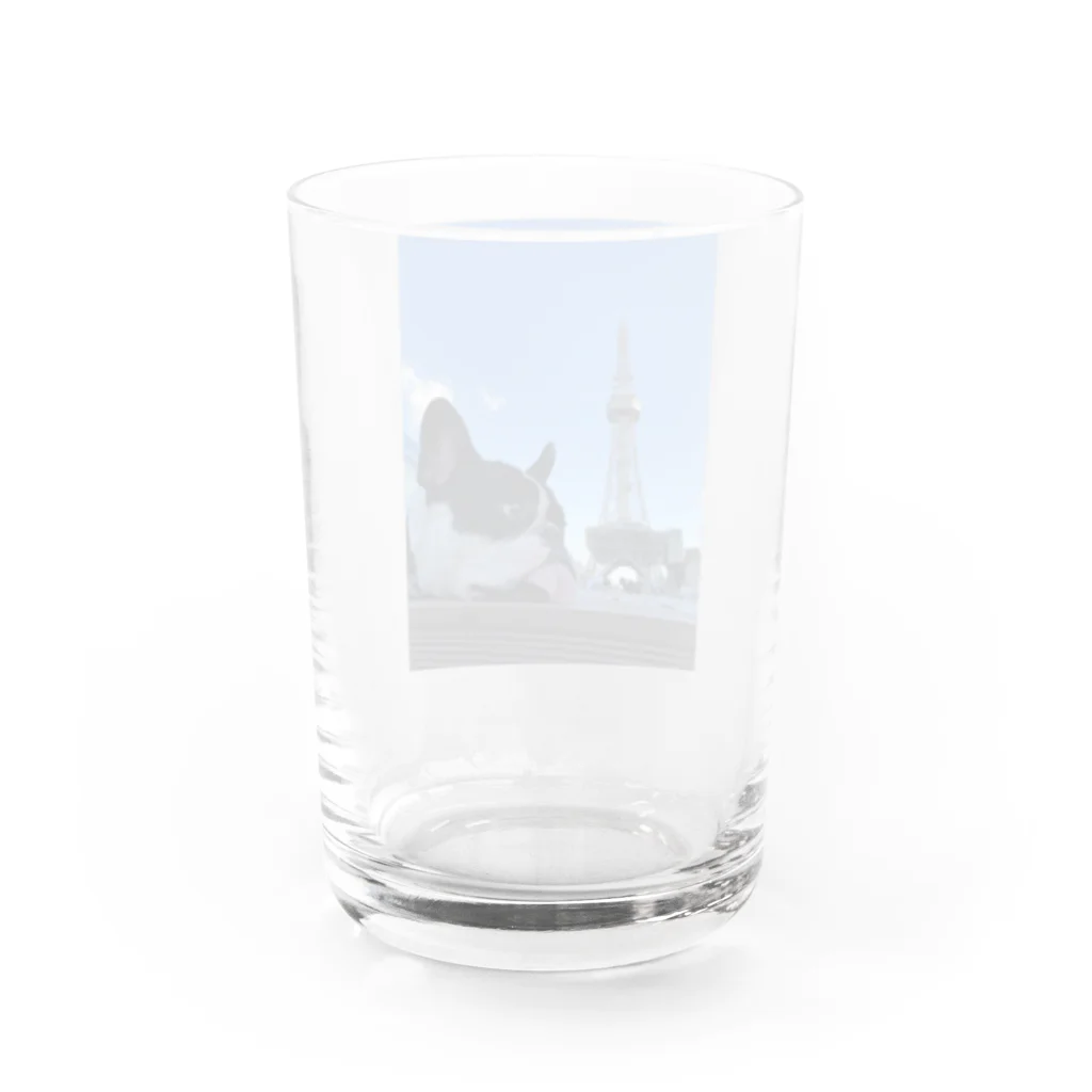 レザーウッドのフレブル ゴンちゃん名古屋へ行く Water Glass :back