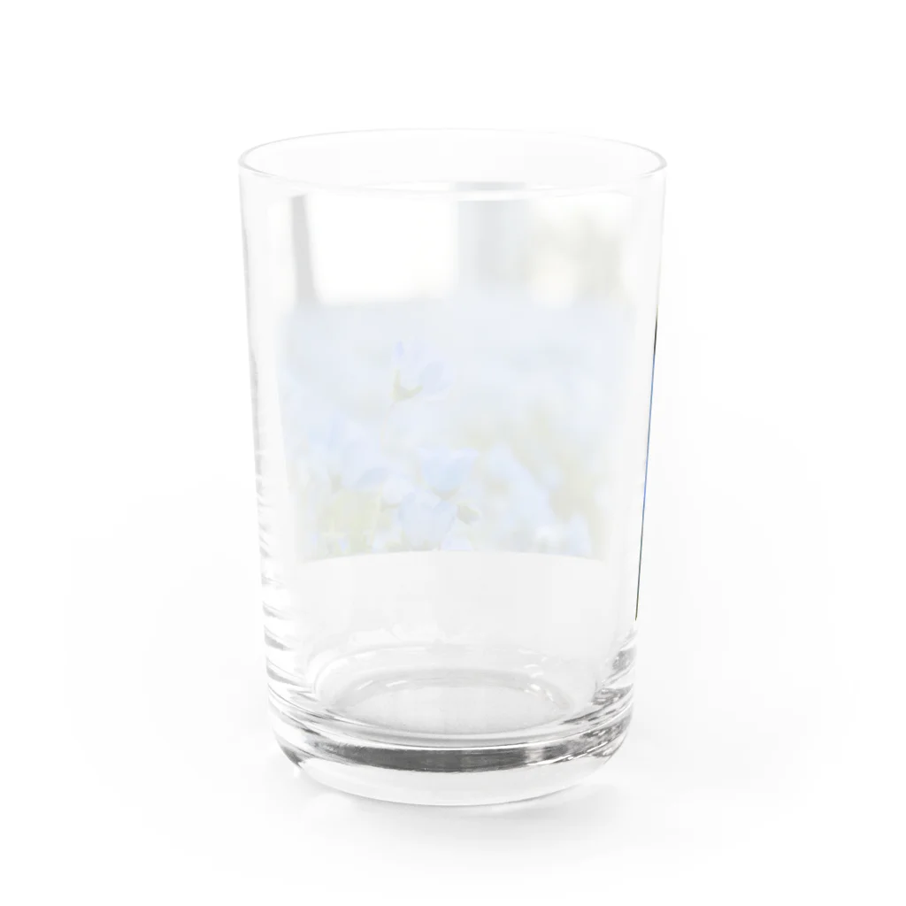 te Reneの瑠璃唐草 Water Glass :back