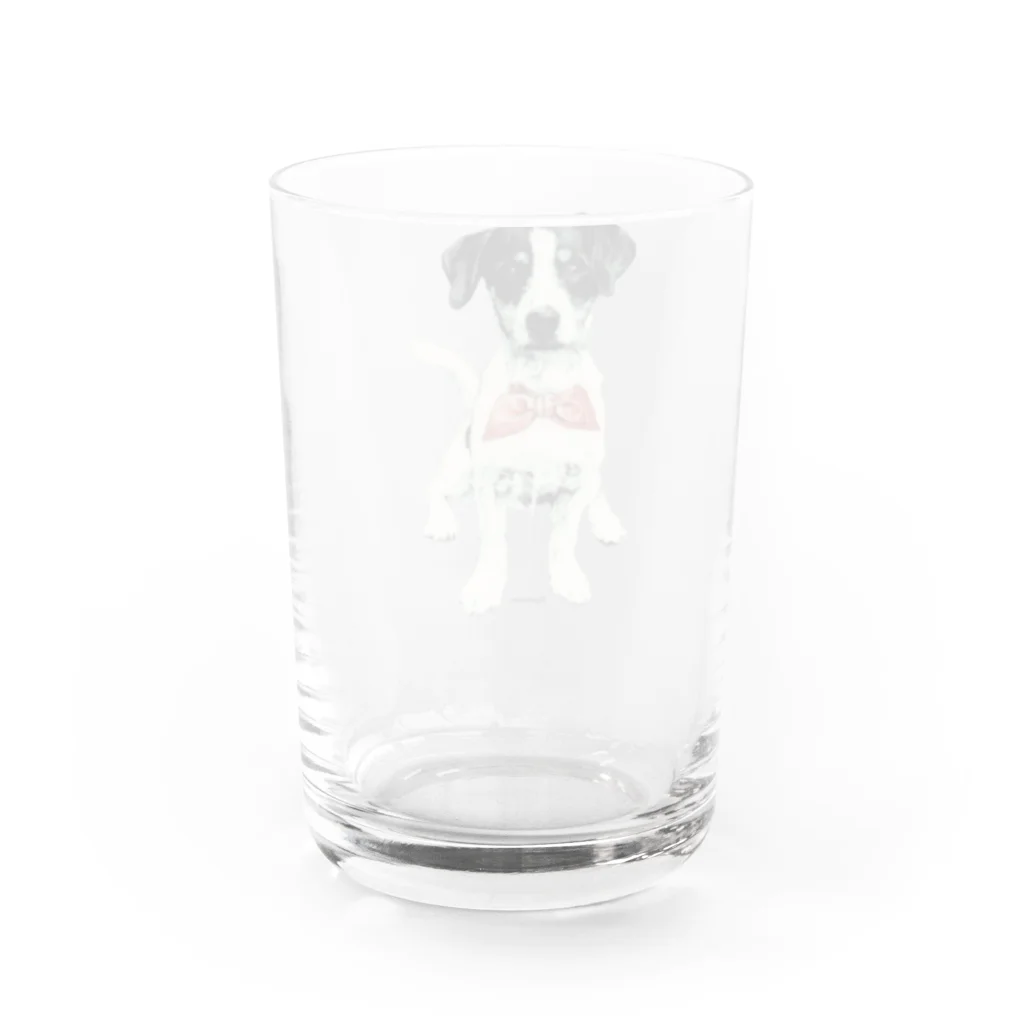 lilyamamのジャックラッセルテリア Water Glass :back