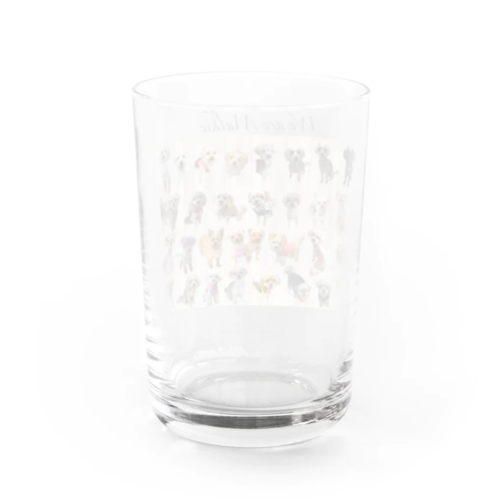 LiLunaのWe are Malkie Water Glass :back