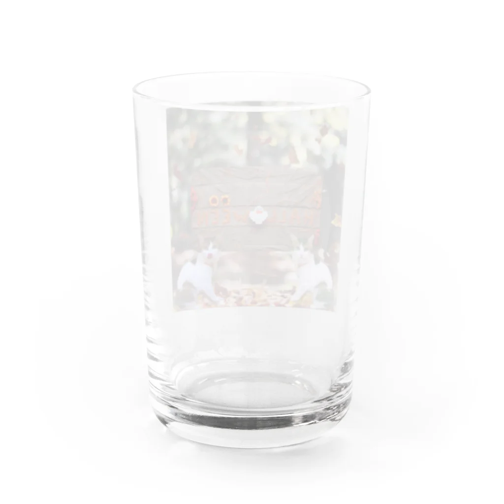 𝙈𝙊𝙈𝙊'𝙨 𝙎𝙝𝙤𝙥のHappy Halloween #02 Water Glass :back