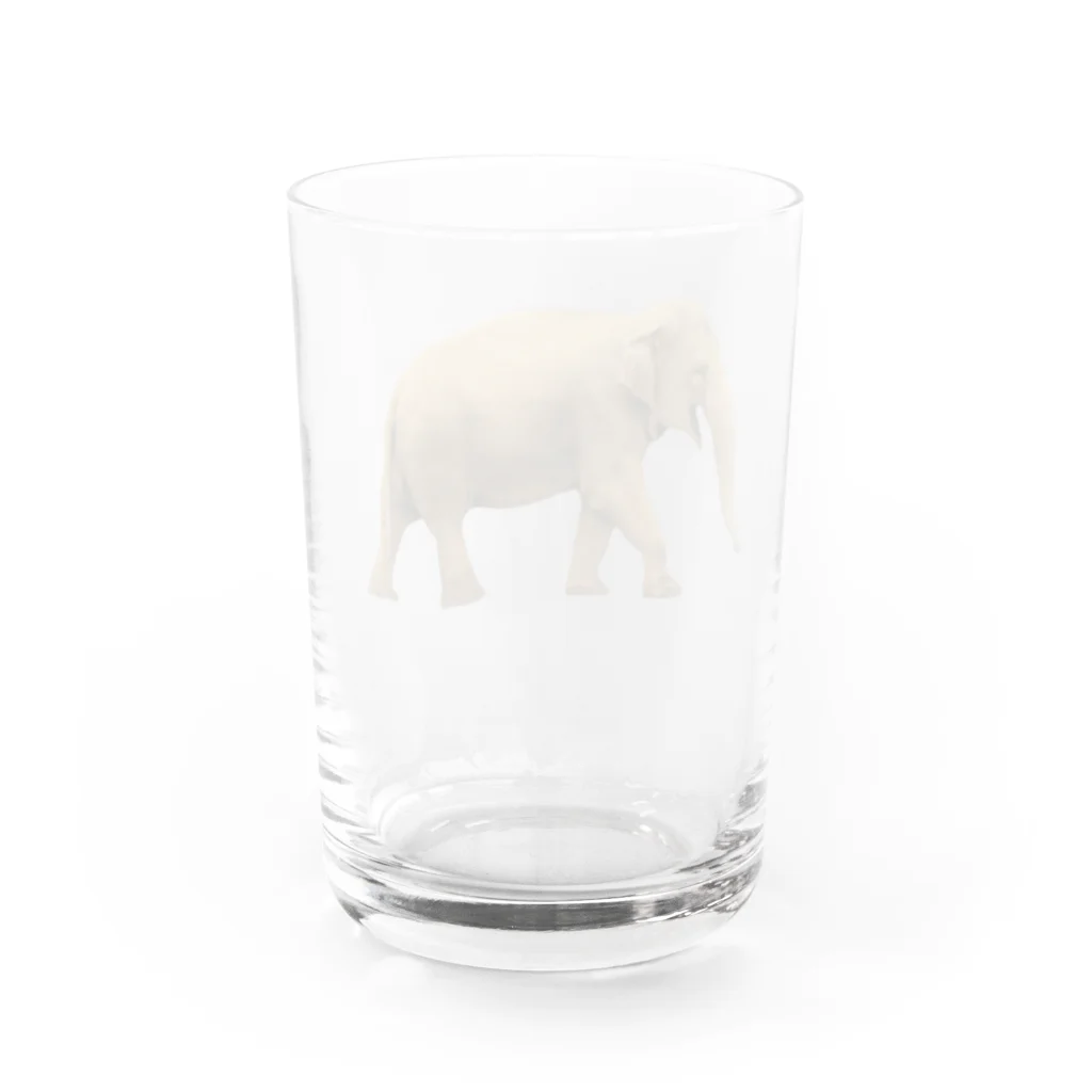 いきもの大好き！ほほえみフレンズのごきげんなゾウさん Water Glass :back